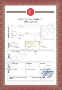 arsa payı nereden öğrenilir